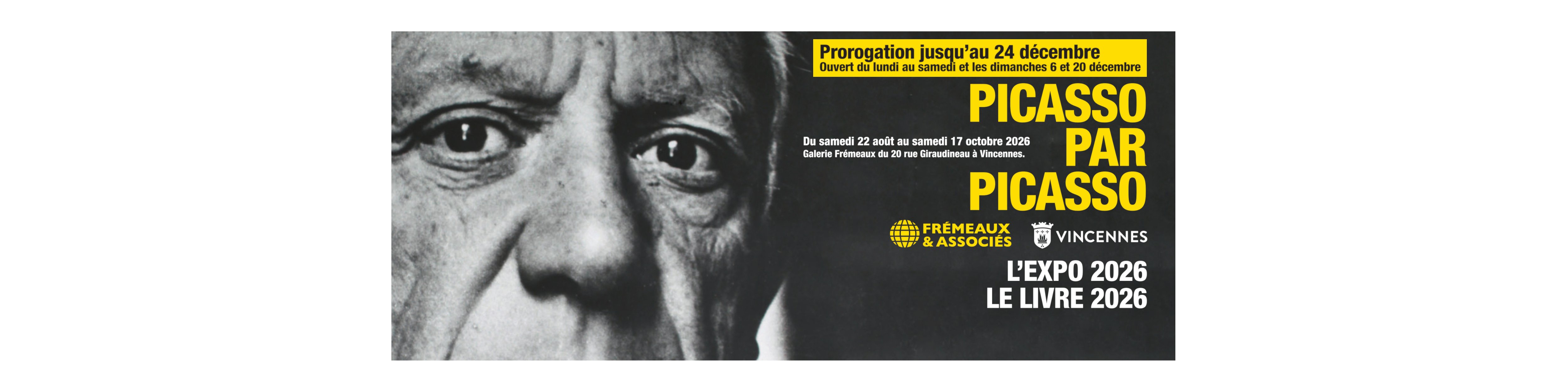 Picasso par Picasso